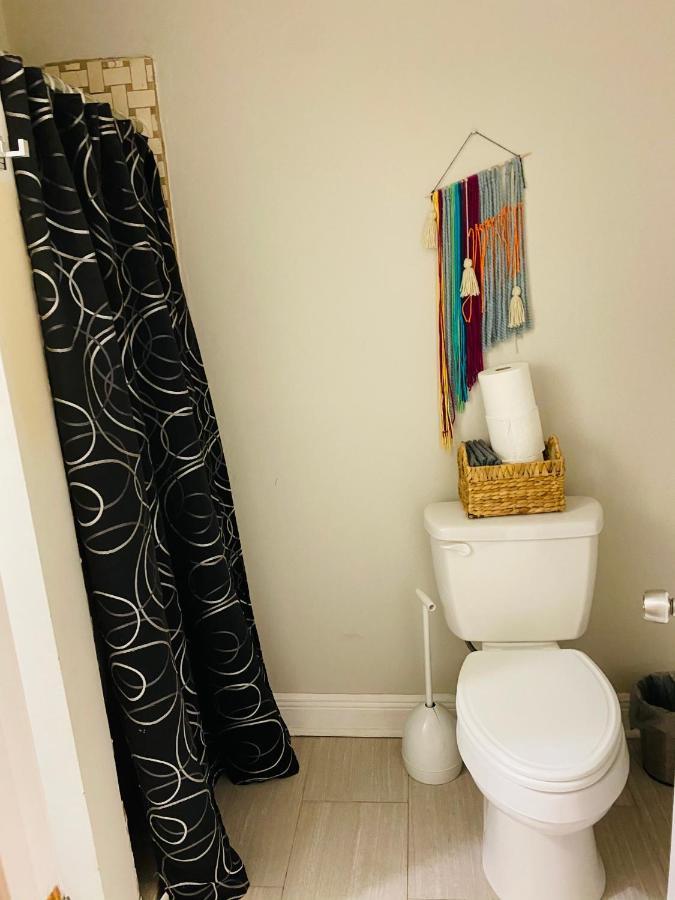 Step Into The French Quarter Apartment Ню Орлиънс Екстериор снимка